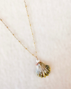 Moonrise Shell Necklace