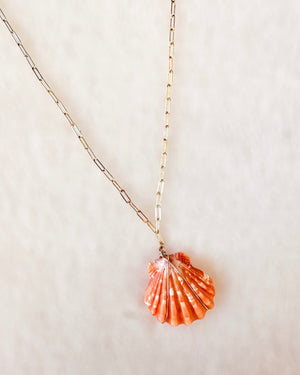 Sunrise Shell Necklace