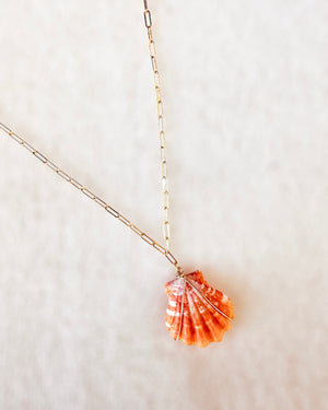 Sunrise Shell Necklace