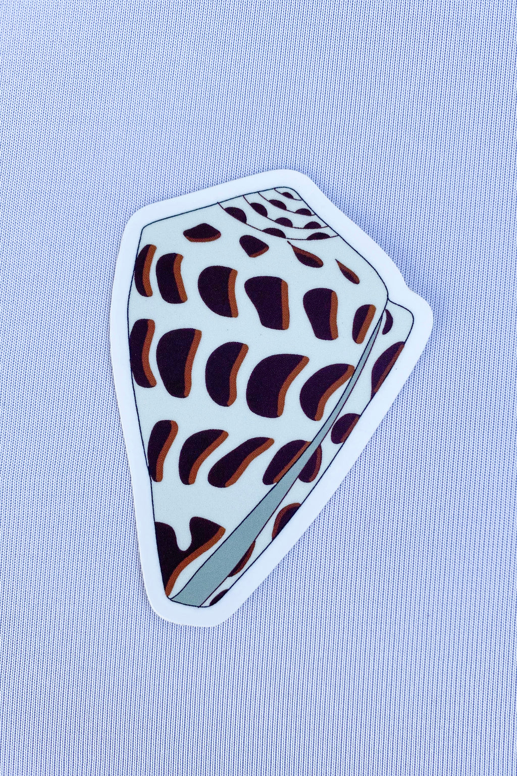 Hebrew Cone Shell Sticker