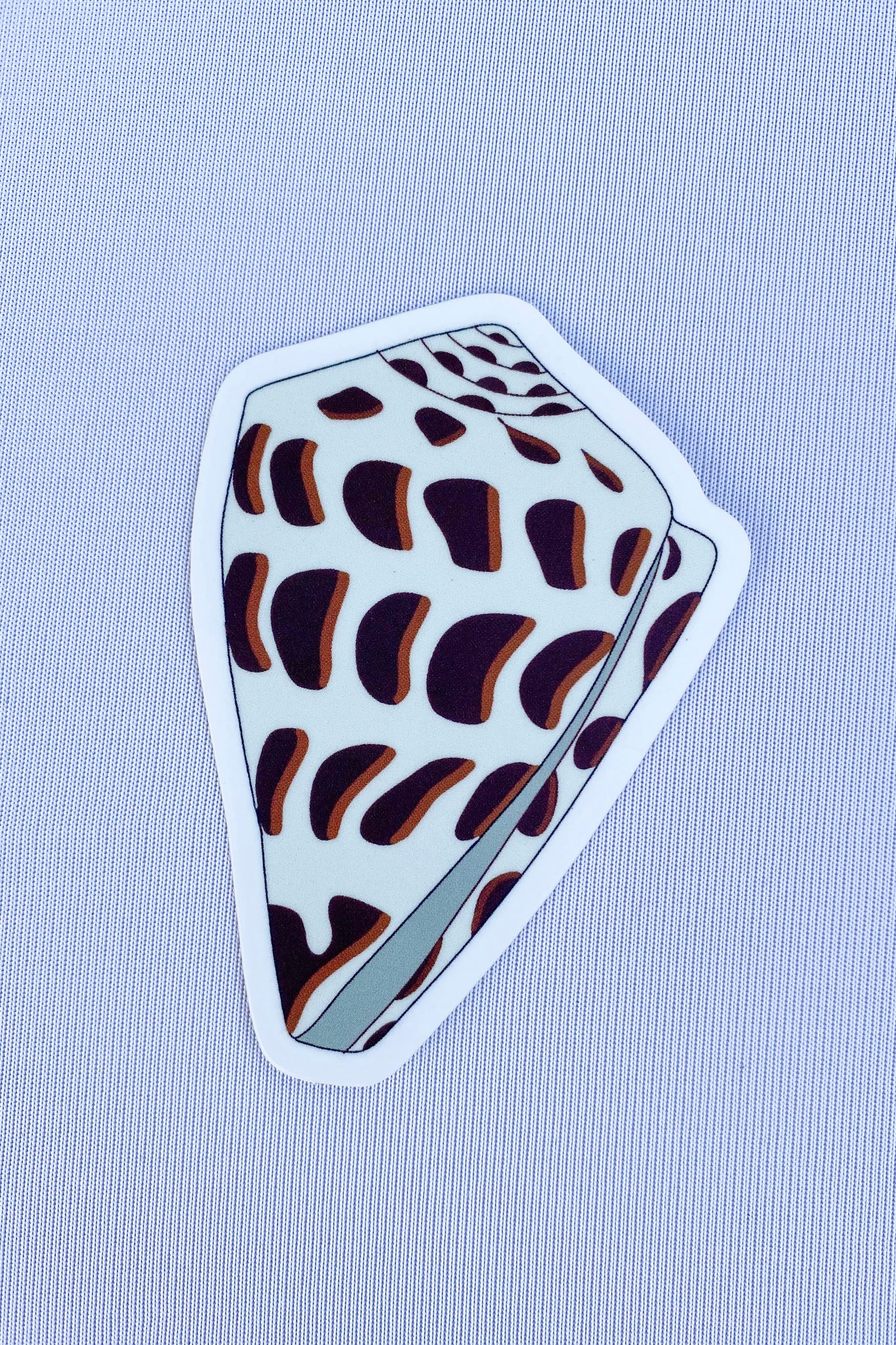 Hebrew Cone Shell Sticker – Ka Hiwahiwa Hawaiʻi