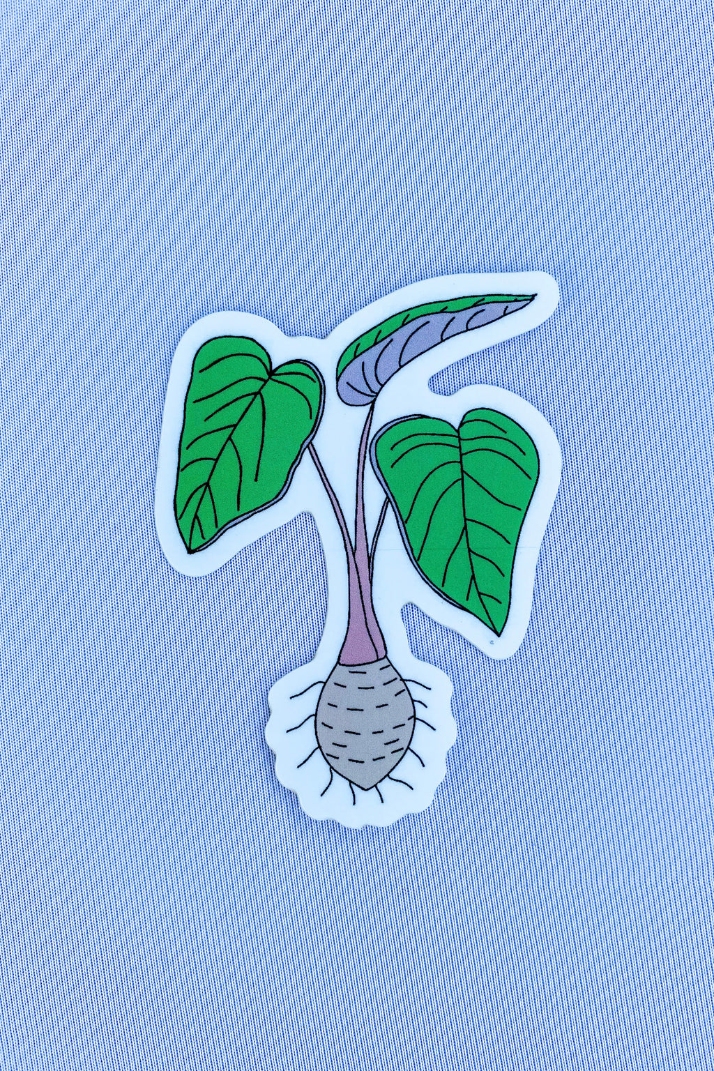 Kalo Root Sticker